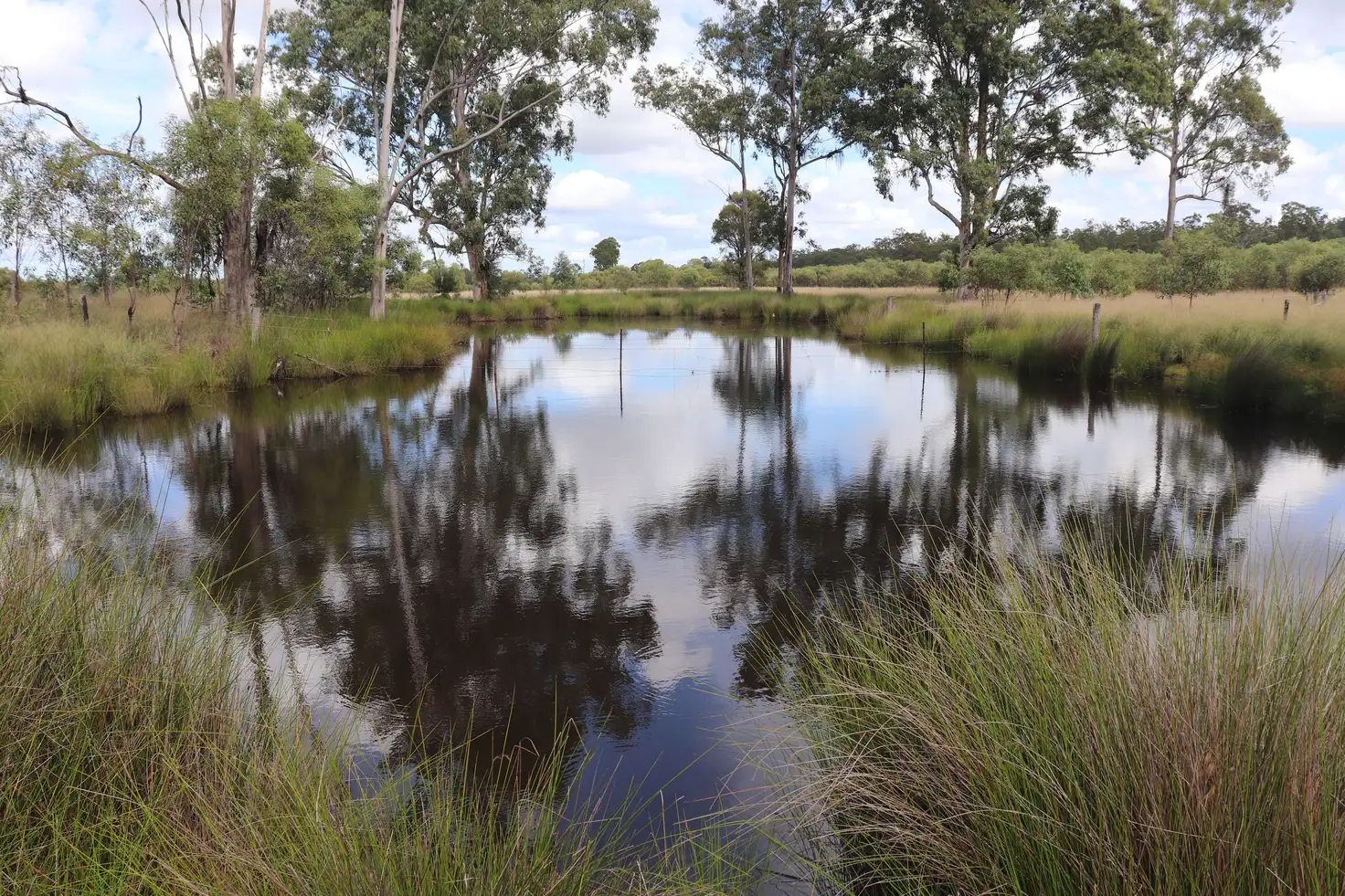 Main view of Homely rural property listing, 'Spotted Gum' 2845 Burra Burri Road, Jandowae QLD 4410