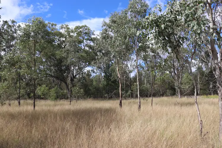 Fourth view of Homely rural property listing, 'Spotted Gum' 2845 Burra Burri Road, Jandowae QLD 4410