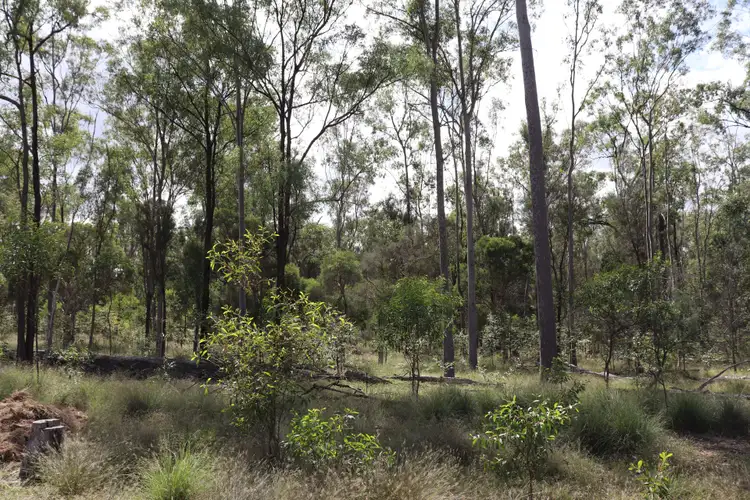 Fifth view of Homely rural property listing, 'Spotted Gum' 2845 Burra Burri Road, Jandowae QLD 4410