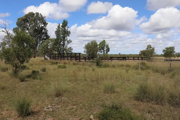 Sixth view of Homely rural property listing, 'Spotted Gum' 2845 Burra Burri Road, Jandowae QLD 4410