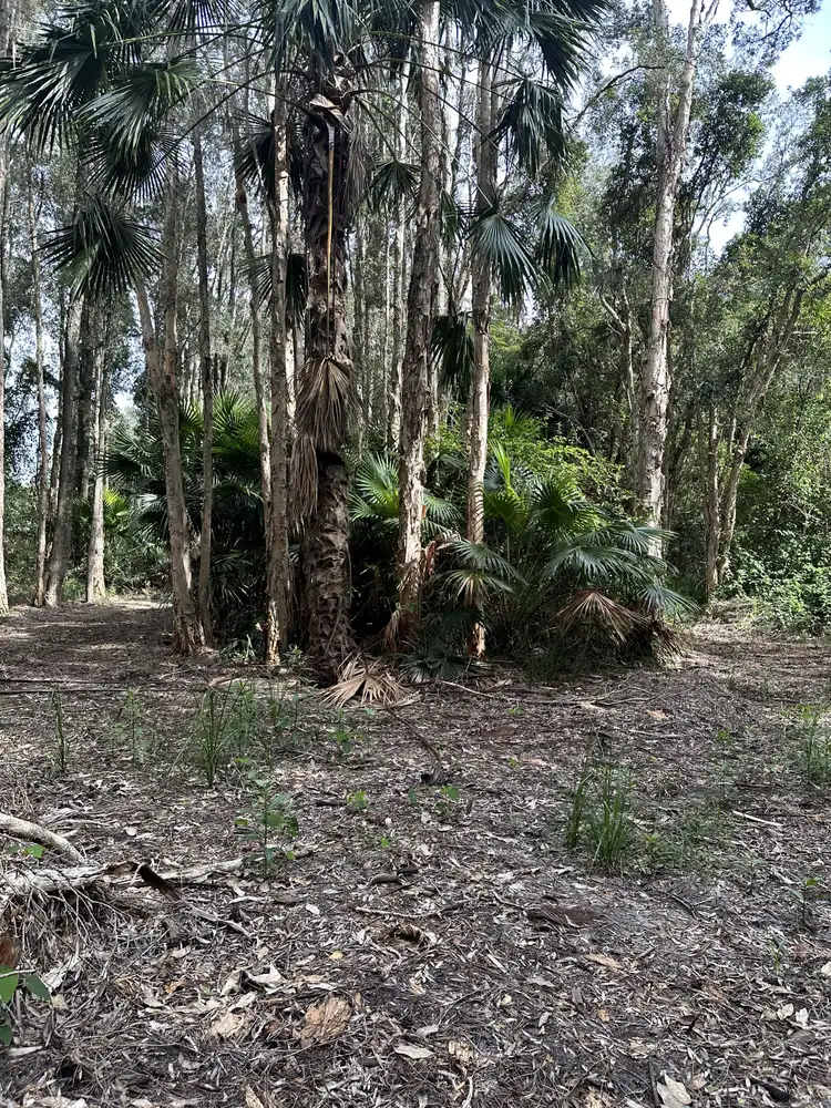 Second view of Homely rural property listing, 21 Peace Parade, Pindimar NSW 2324