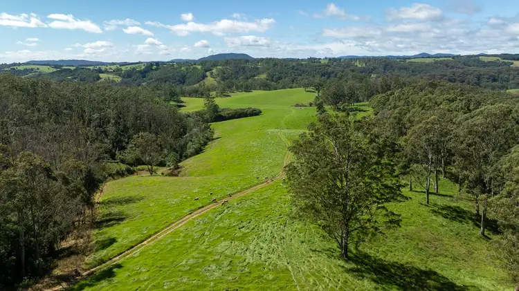 Third view of Homely rural property listing, 624 Deer Vale Road, Fernbrook NSW 2453