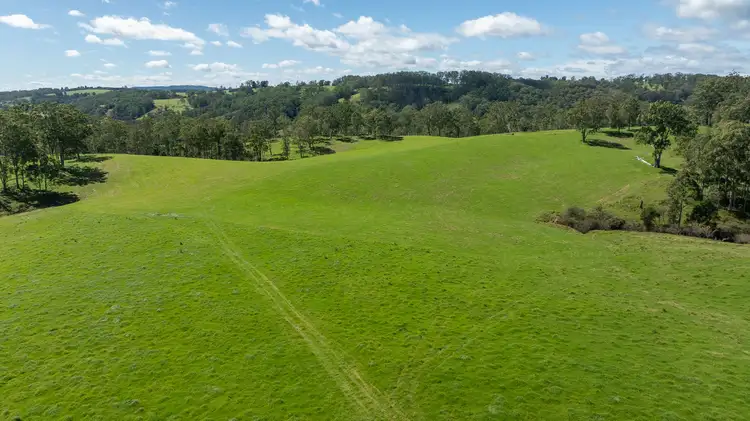 Fifth view of Homely rural property listing, 624 Deer Vale Road, Fernbrook NSW 2453