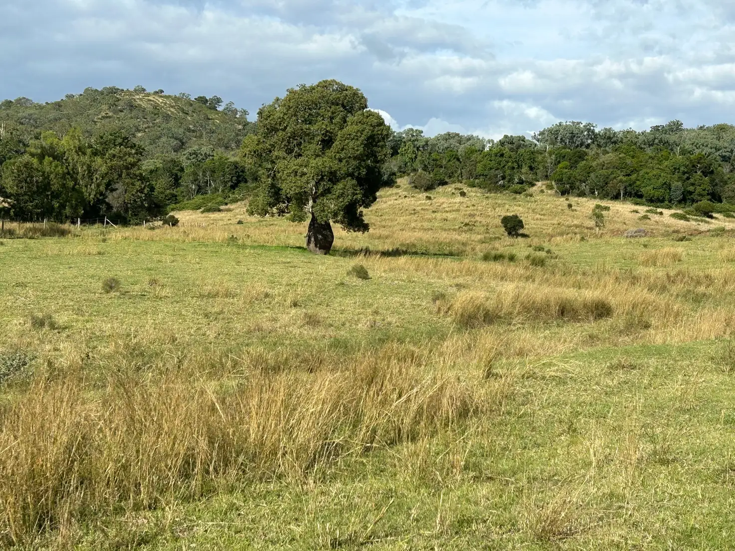 Main view of Homely rural property listing, Lot 46 Bunya Mountains Maclagan Road, Rangemore QLD 4352