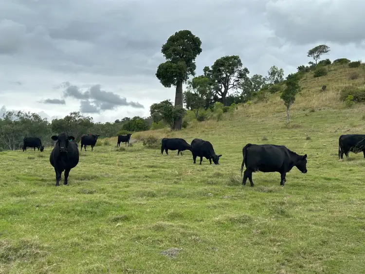 Third view of Homely rural property listing, Lot 46 Bunya Mountains Maclagan Road, Rangemore QLD 4352