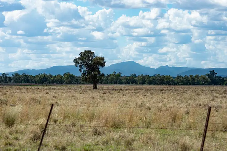 Third view of Homely rural property listing, 208 Old Gunnedah Road, Narrabri NSW 2390