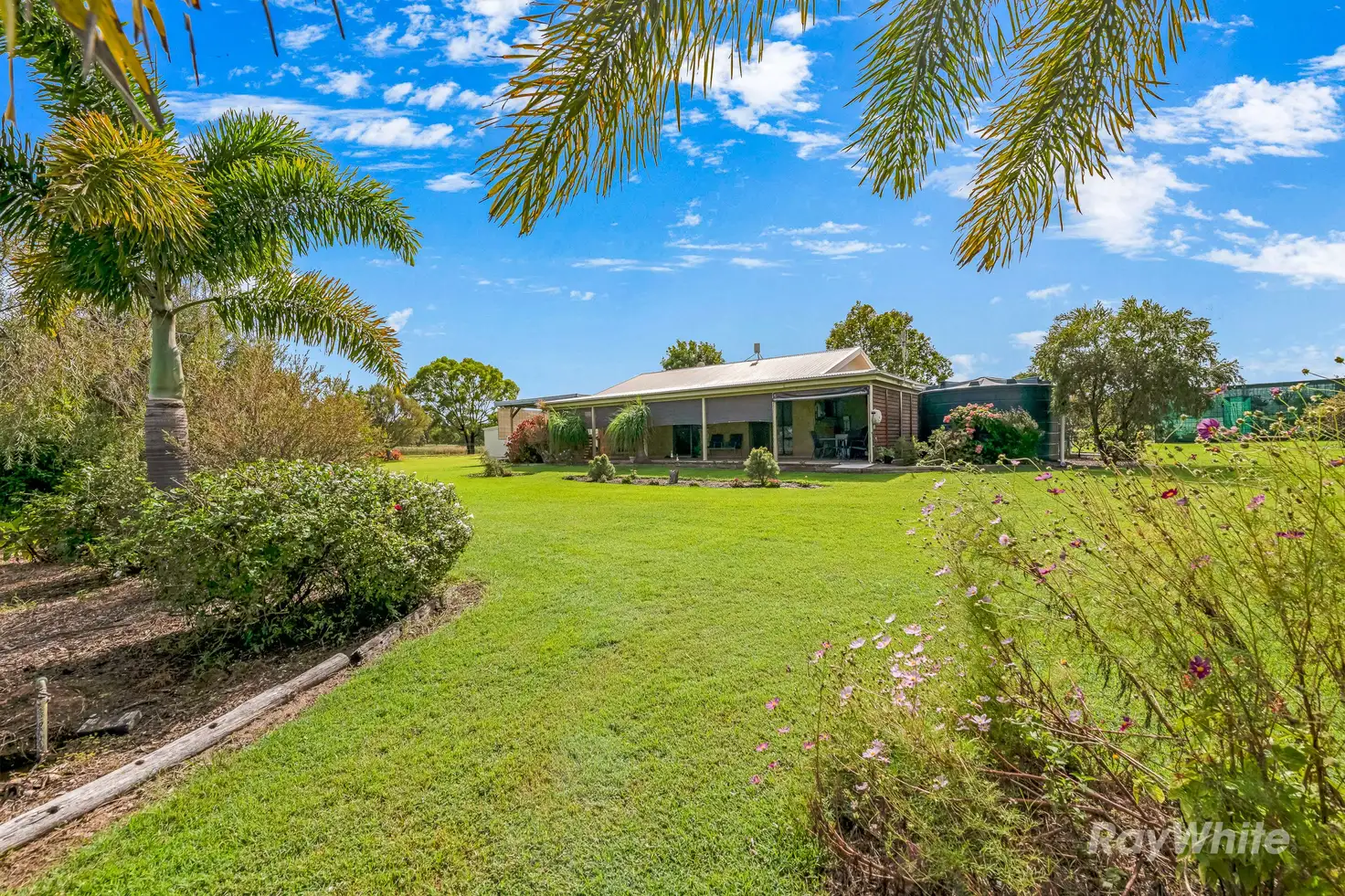 Main view of Homely rural property listing, 323 Drinan Road, Drinan QLD 4671