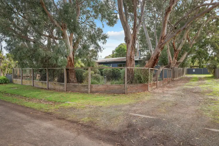 16 Ventnor Road