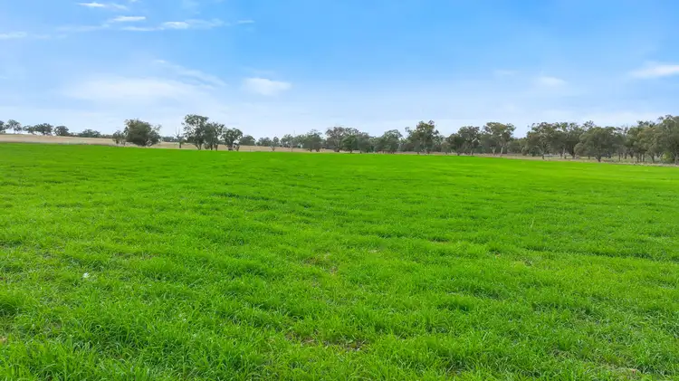 Fifth view of Homely rural property listing, Lot 2 Hausfields Road, Duri NSW 2344