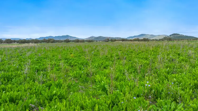 Sixth view of Homely rural property listing, Lot 2 Hausfields Road, Duri NSW 2344