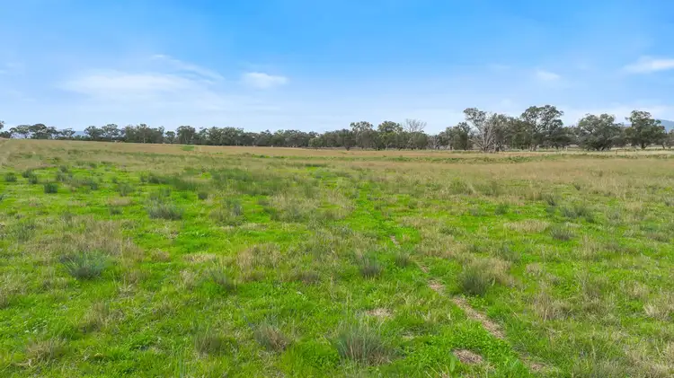 Seventh view of Homely rural property listing, Lot 2 Hausfields Road, Duri NSW 2344