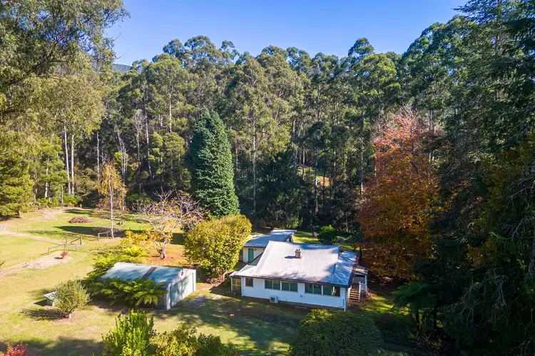 Main view of Homely house listing, 220 Big Pats Creek Road, Big Pats Creek VIC 3799