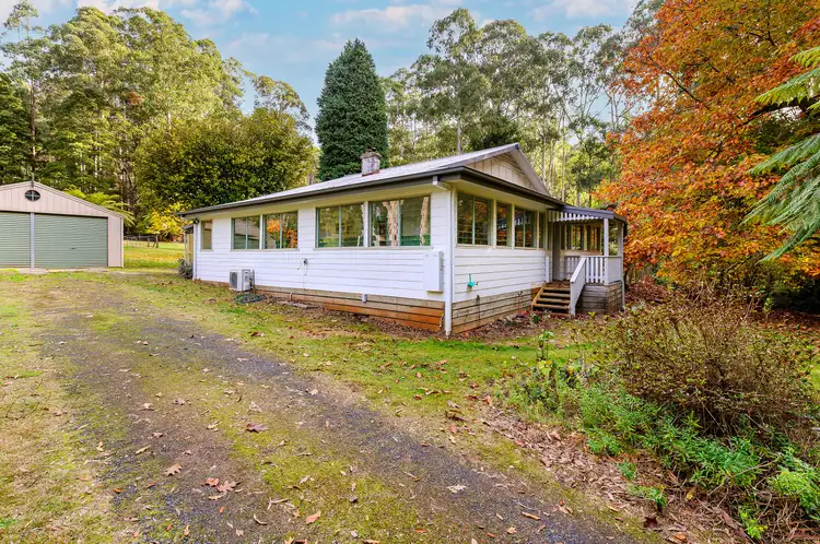 Second view of Homely house listing, 220 Big Pats Creek Road, Big Pats Creek VIC 3799
