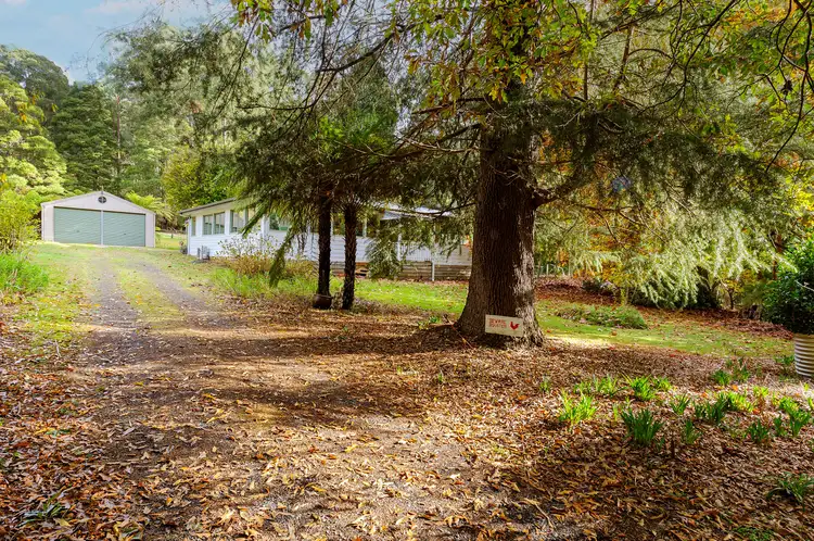 Fourth view of Homely house listing, 220 Big Pats Creek Road, Big Pats Creek VIC 3799