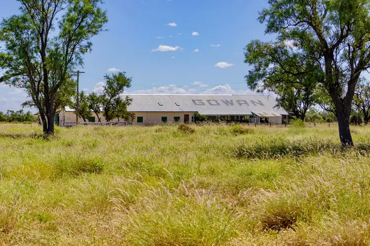 Fifth view of Homely rural property listing, 6735 Adavale Road, Blackall QLD 4472