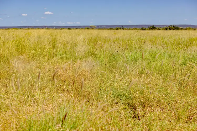 Seventh view of Homely rural property listing, 6735 Adavale Road, Blackall QLD 4472
