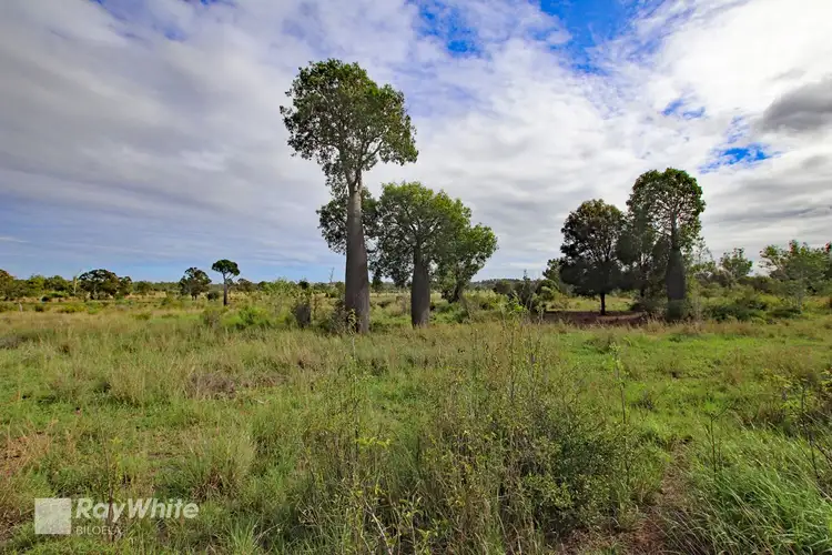 Second view of Homely rural property listing, 'Akuna' Playfields Road, Ulogie QLD 4702