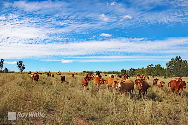 Fourth view of Homely rural property listing, 'Akuna' Playfields Road, Ulogie QLD 4702