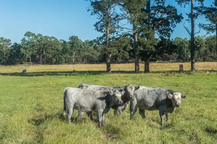 Sixth view of Homely land listing, LOT 1, 29 Highland Way, Marulan NSW 2579