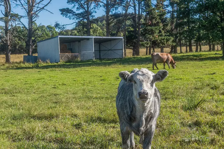 Seventh view of Homely land listing, LOT 1, 29 Highland Way, Marulan NSW 2579