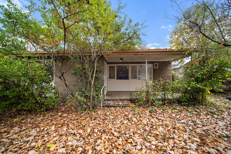 Main view of Homely house listing, 37 Lewin Street, Lyneham ACT 2602