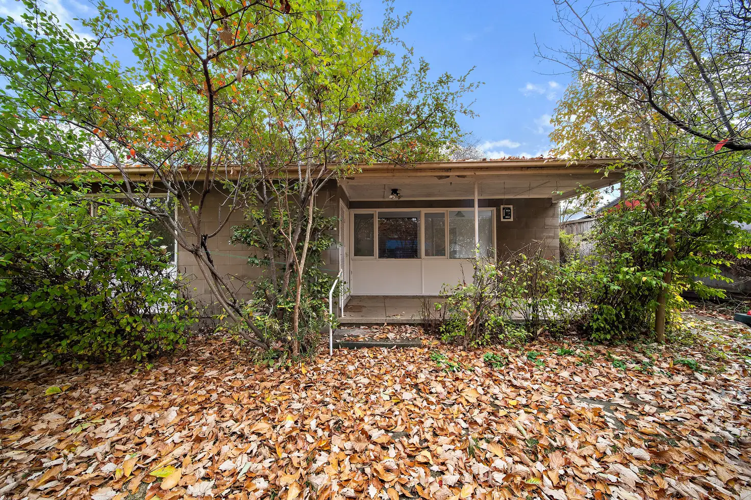 Main view of Homely house listing, 37 Lewin Street, Lyneham ACT 2602