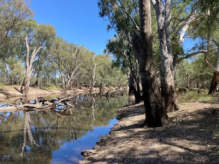 Seventh view of Homely rural property listing, 'Goolwa' 24 Burrawang West Road, Ootha NSW 2875