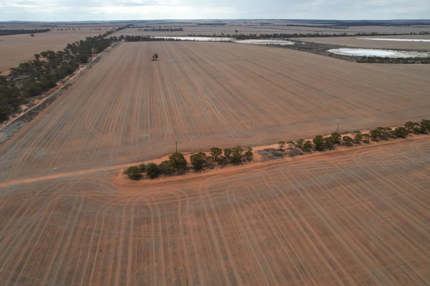 Main view of Homely rural property listing, Bullfinch Moorine Rock Aggregation, South Yilgarn WA 6426