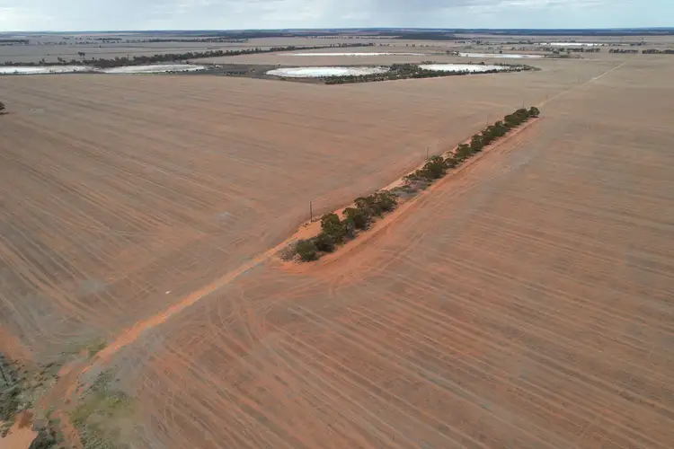 Fourth view of Homely rural property listing, Bullfinch Moorine Rock Aggregation, South Yilgarn WA 6426