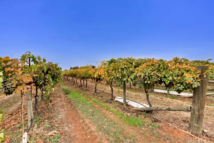 Fifth view of Homely rural property listing, 150 Ropers Road, Cardross VIC 3496