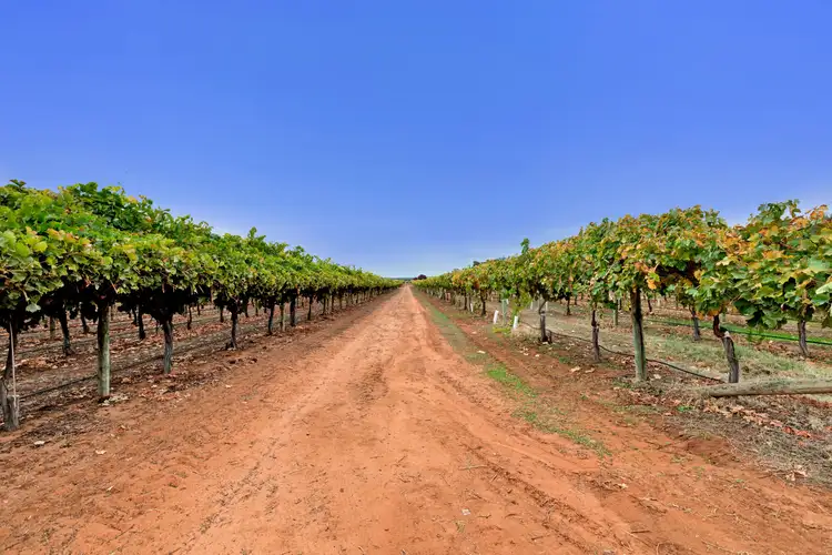 Sixth view of Homely rural property listing, 150 Ropers Road, Cardross VIC 3496