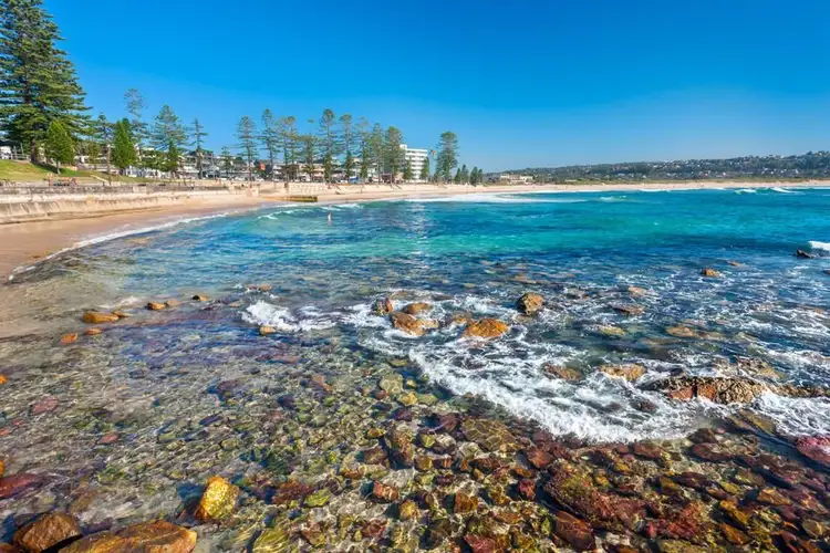 Fourth view of Homely unit listing, 3/87 Pacific Parade, Dee Why NSW 2099