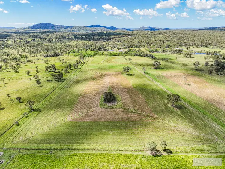 76 Mount Chalmers Road, Cawarral QLD 4702