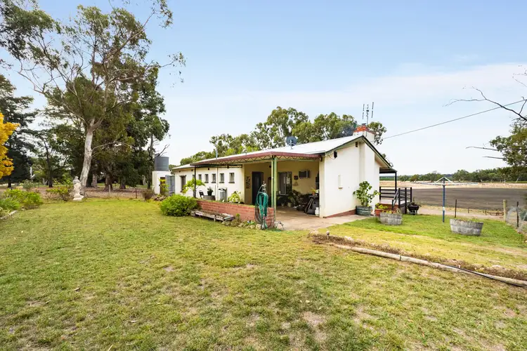 Main view of Homely rural property listing, 1242 Old Comaum Road, Coonawarra SA 5263