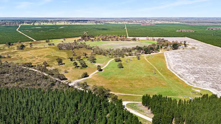 Fourth view of Homely rural property listing, 1242 Old Comaum Road, Coonawarra SA 5263