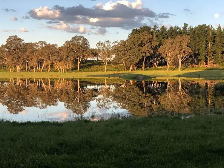 Sixth view of Homely rural property listing, 1242 Old Comaum Road, Coonawarra SA 5263