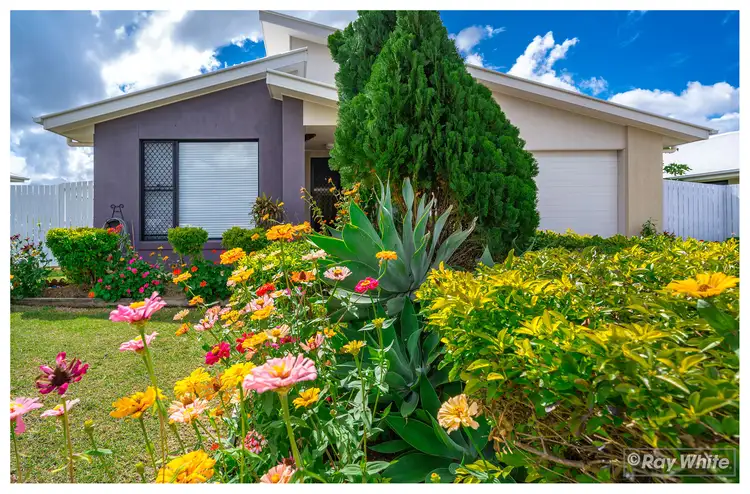 19 Sylvana Avenue, Gracemere QLD 4702