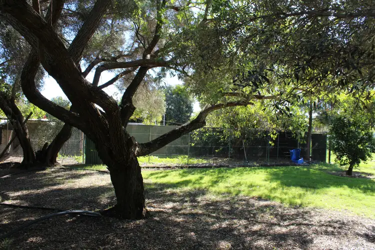 Fifth view of Homely house listing, 33666 Newell Highway, Boggabilla NSW 2409