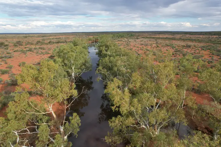 Fourth view of Homely rural property listing, Cunyu Station, Wiluna WA 6646