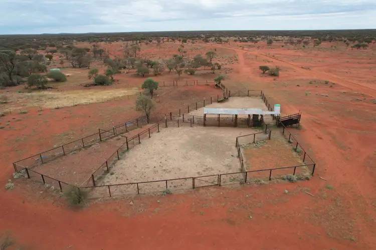 Fifth view of Homely rural property listing, Cunyu Station, Wiluna WA 6646