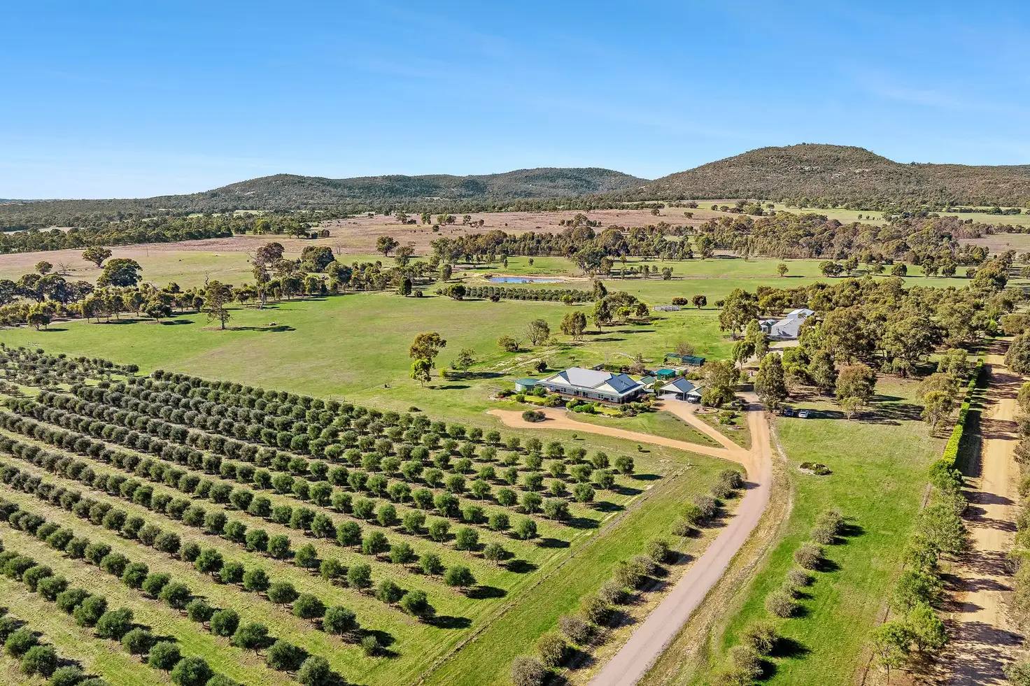 Main view of Homely house listing, 77 Liddell Road, Black Range VIC 3381