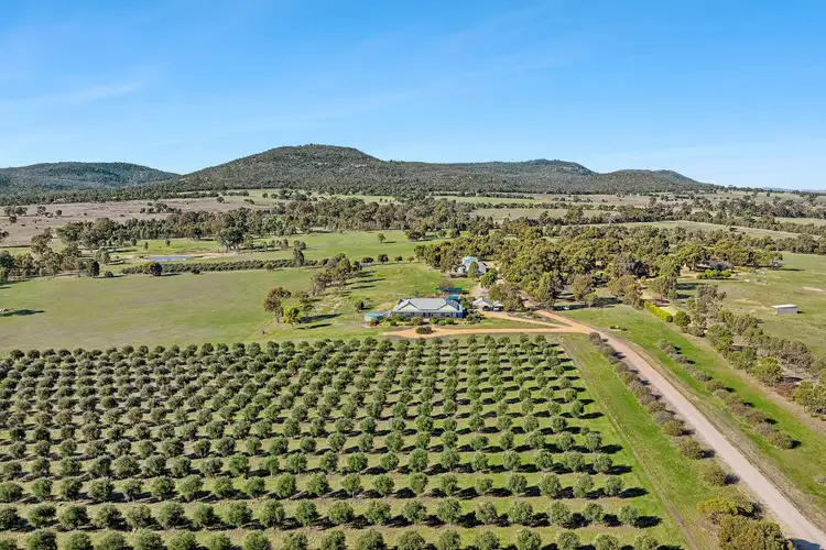 Third view of Homely house listing, 77 Liddell Road, Black Range VIC 3381