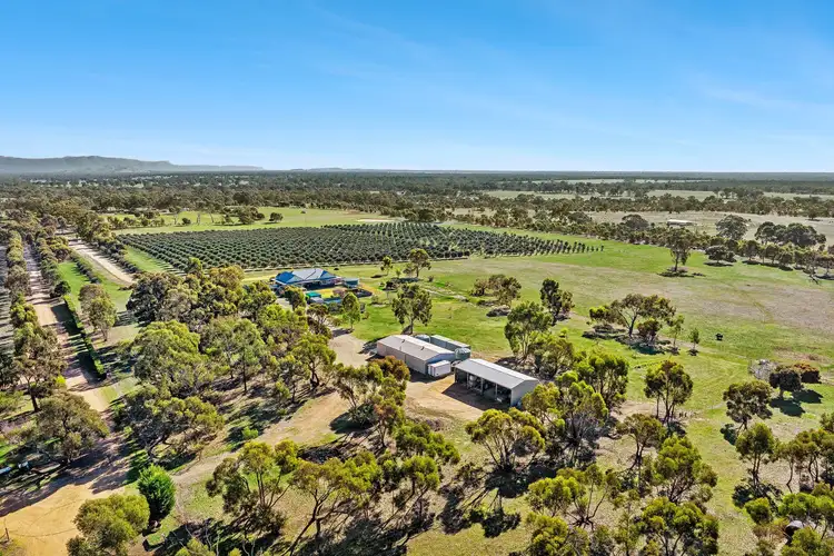Fifth view of Homely house listing, 77 Liddell Road, Black Range VIC 3381