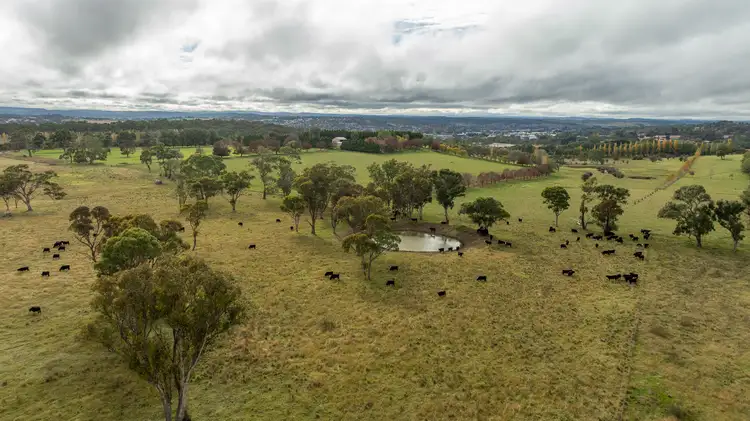 Main view of Homely rural property listing, 261-335 Bundarra Road, Armidale NSW 2350