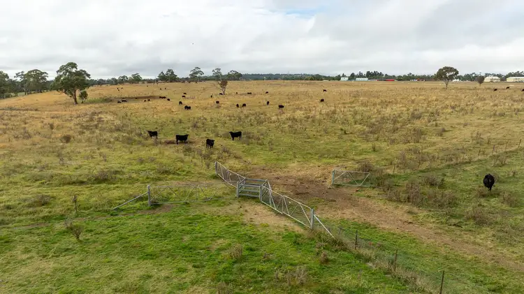Fourth view of Homely rural property listing, 261-335 Bundarra Road, Armidale NSW 2350