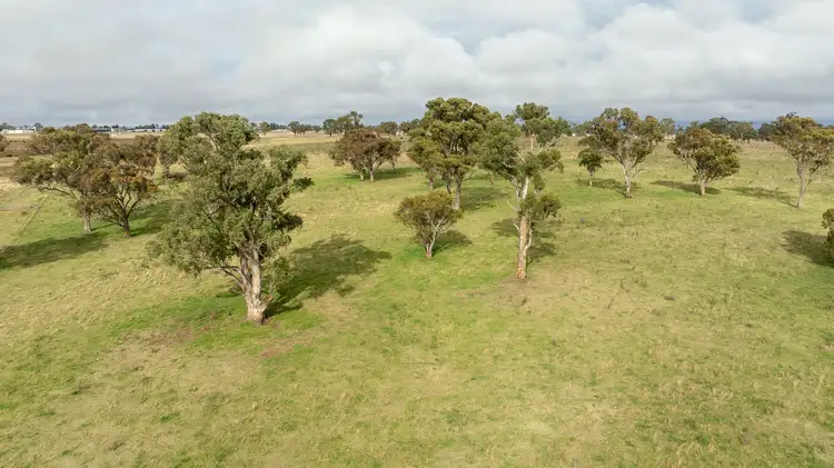 Sixth view of Homely rural property listing, 261-335 Bundarra Road, Armidale NSW 2350