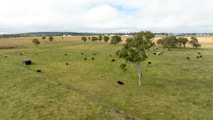 Seventh view of Homely rural property listing, 261-335 Bundarra Road, Armidale NSW 2350