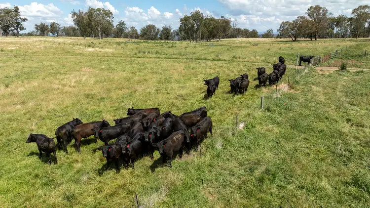 Third view of Homely rural property listing, 322 Claremont Road, Armidale NSW 2350
