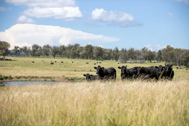 Sixth view of Homely rural property listing, 322 Claremont Road, Armidale NSW 2350
