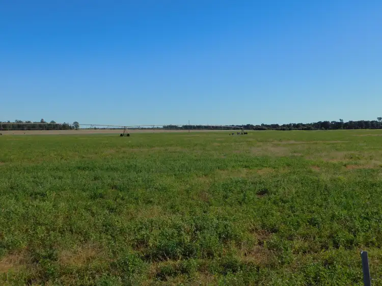 Seventh view of Homely rural property listing, 2786 Cambridge Crossing Road, Tara QLD 4421